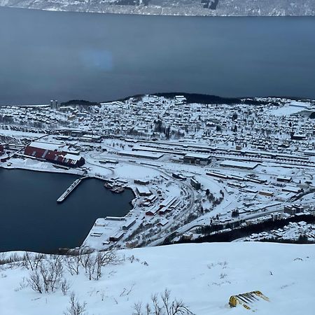 Narvik Sentrum Exterior foto